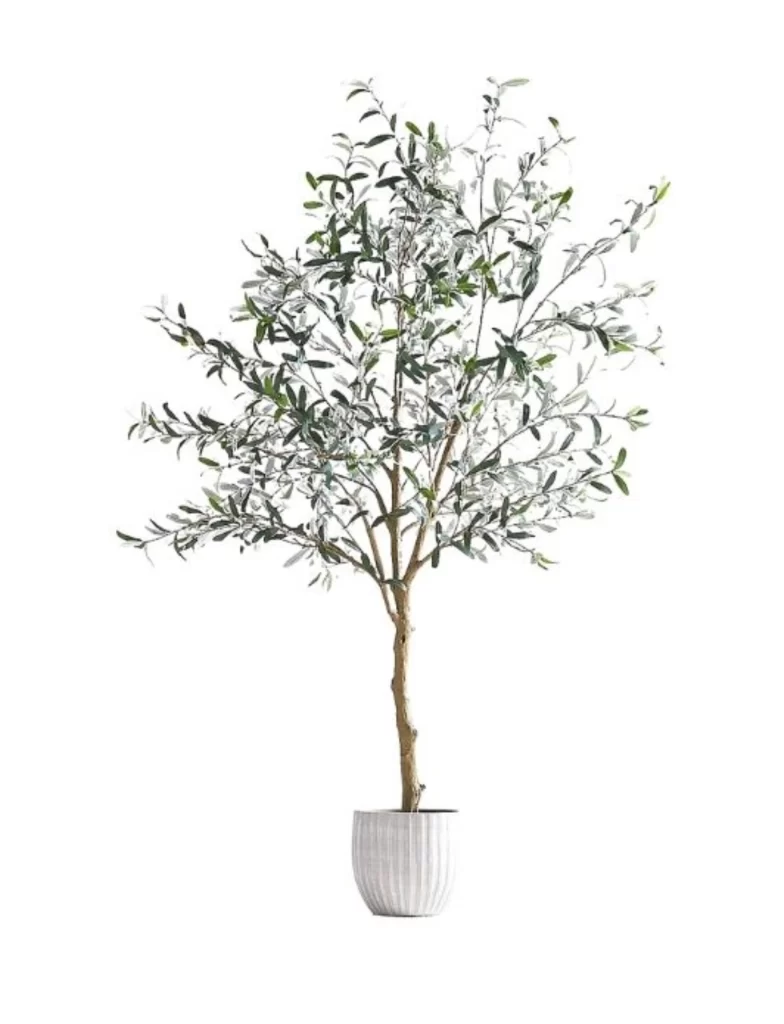 Crate & Barrel Potted Faux Olive Tree