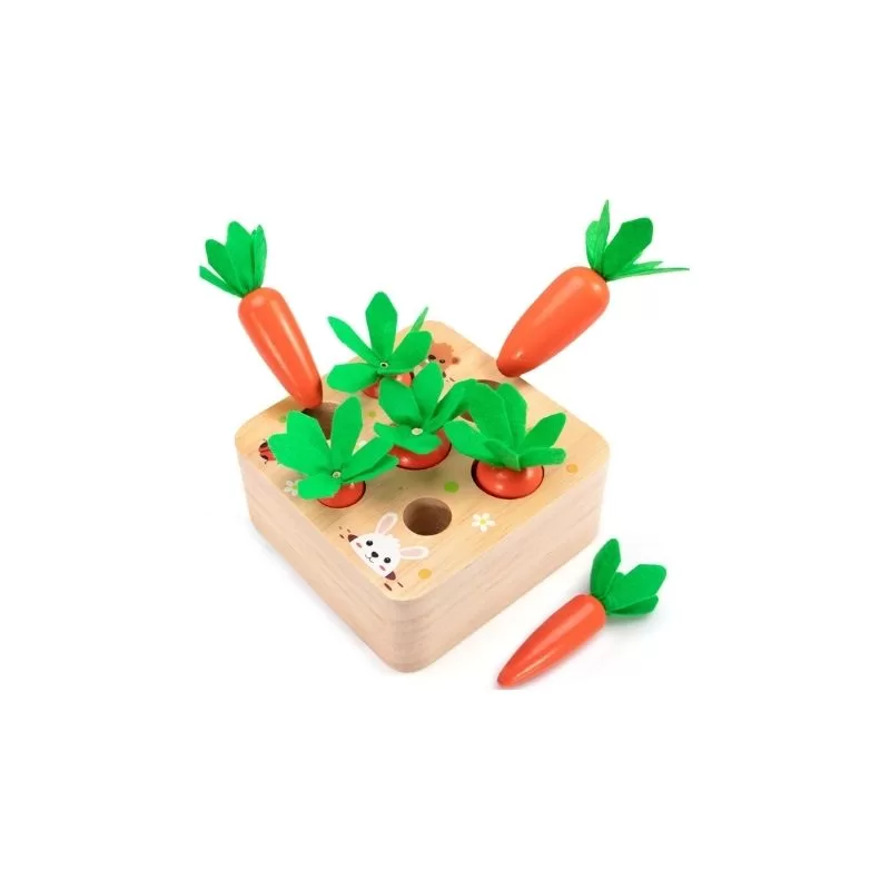 Carrot Sorter