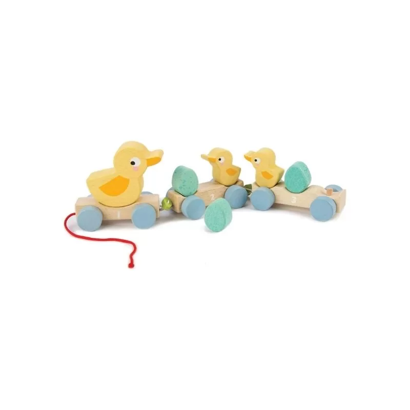 Duck Pull Toy
